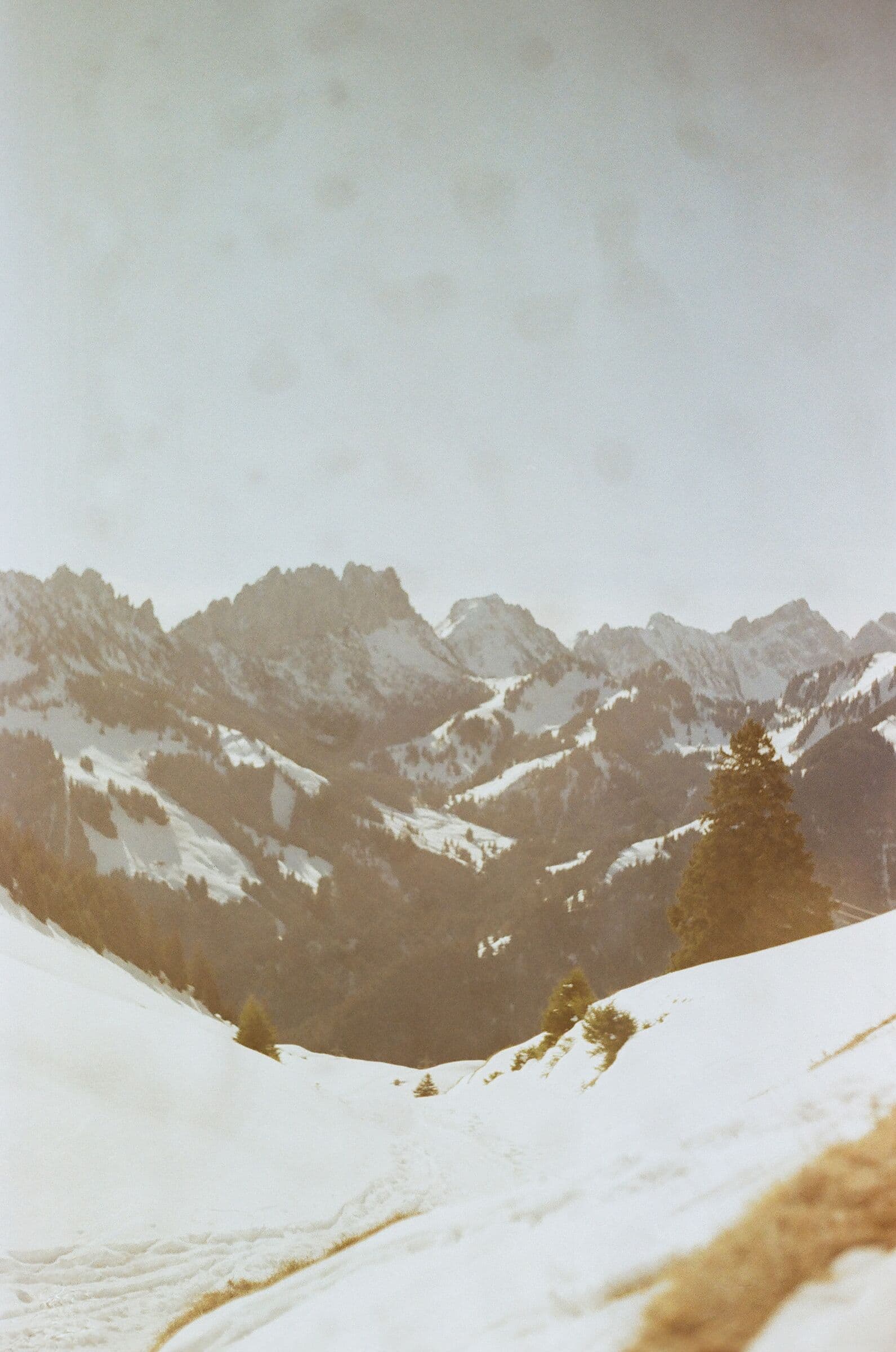 Photograph by Arthur Cremelie
