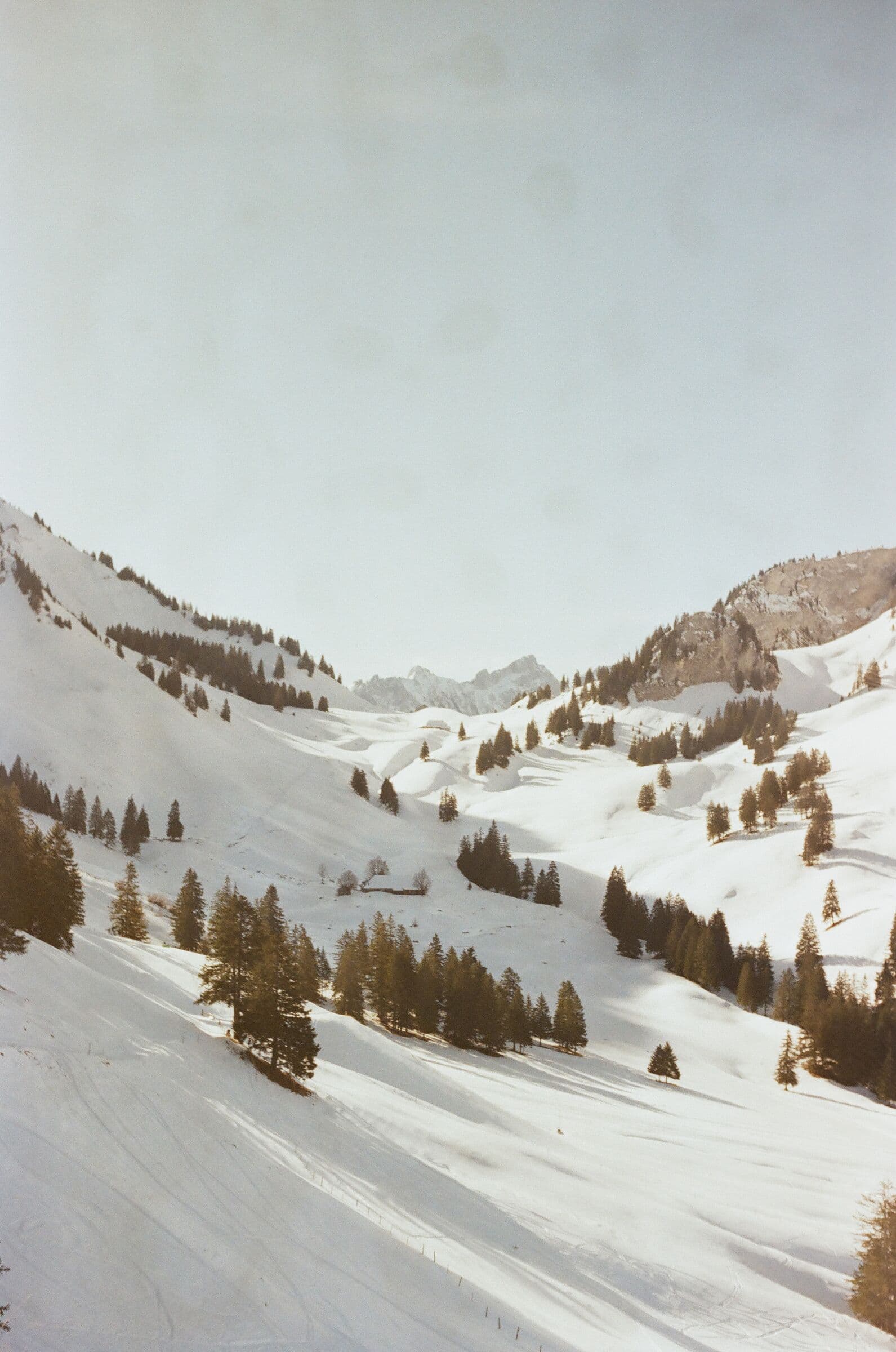Photograph by Arthur Cremelie